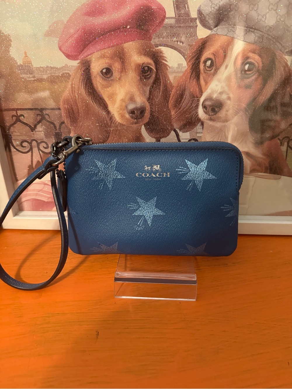 Coach Limited Edition Star Canyon Zip Wristlet EUC